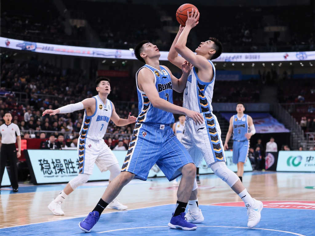 职业生涯的 职业生涯的